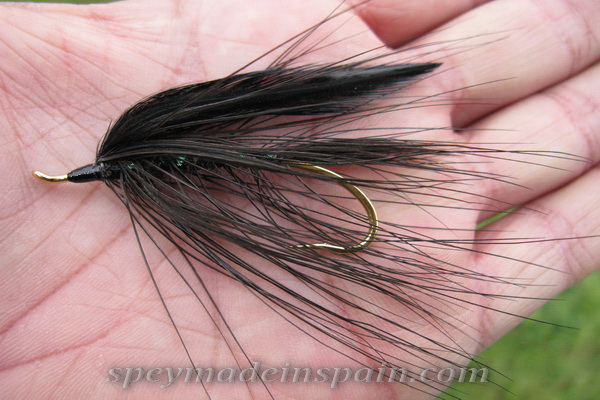 Black Spey Glasso style