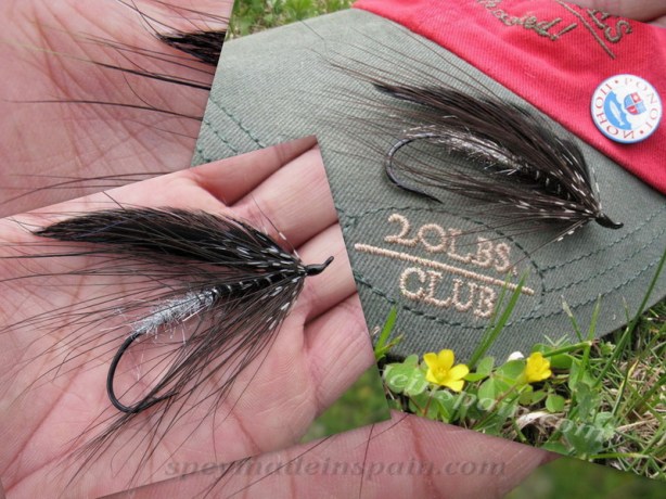 Black Hispánica Spey