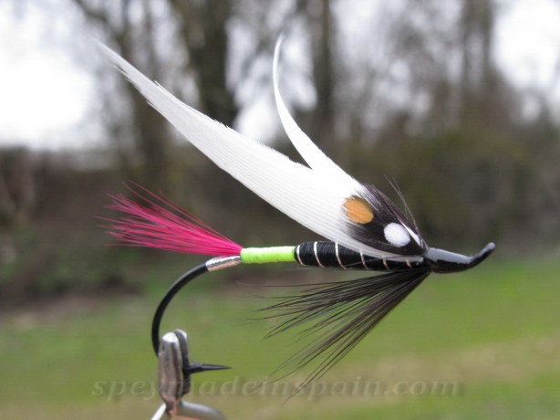 Low water Dee winged