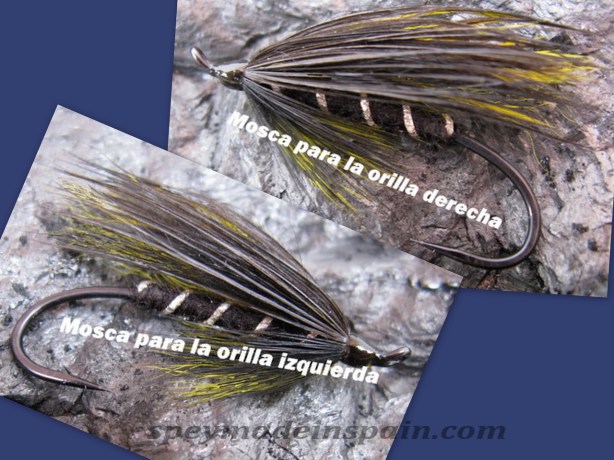 collage camaleon_redimensionar